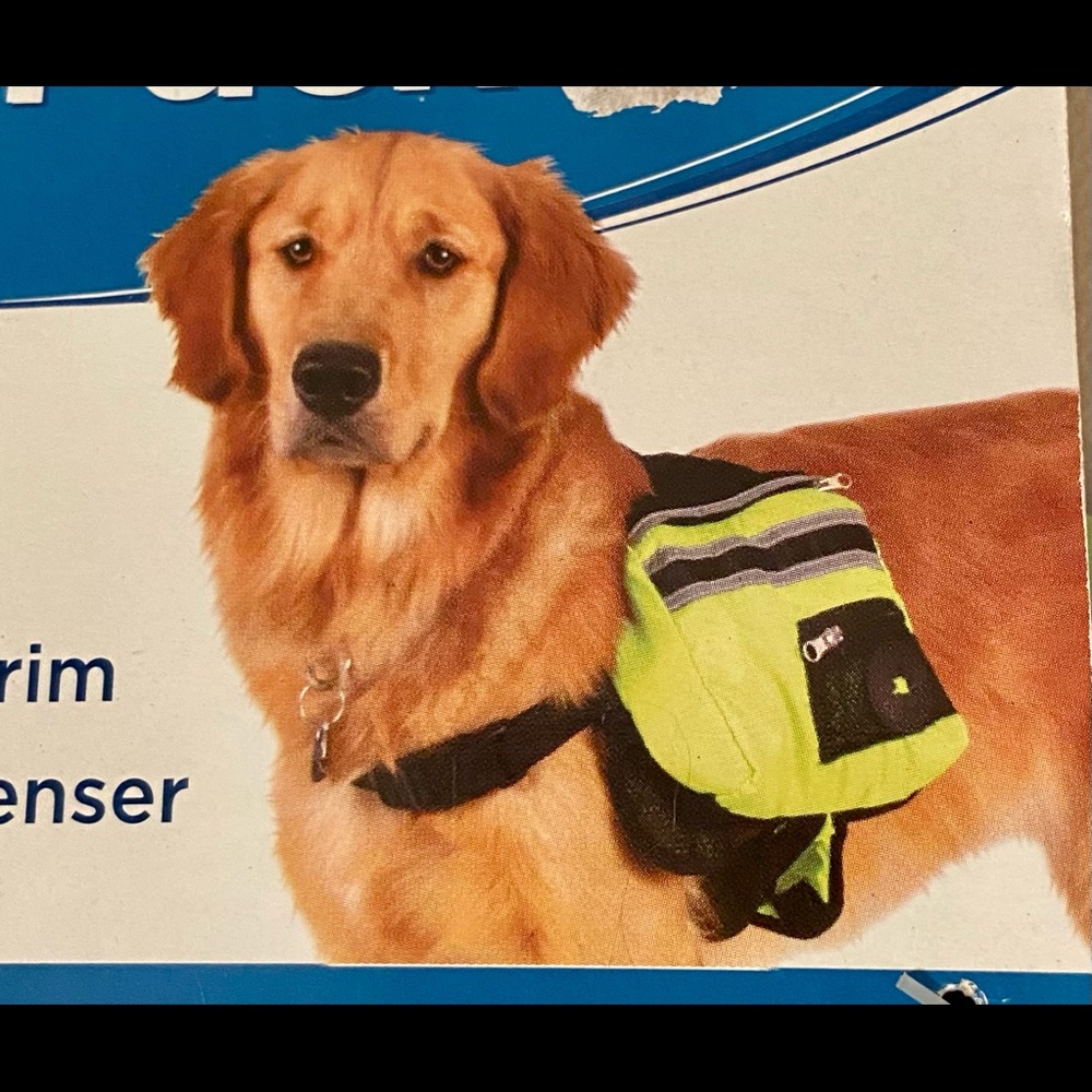 🐕 Dog Backpack 🎒 (medium size)